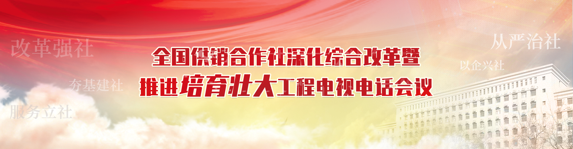 全国供销合作社深化综合改革暨推进培育壮大工程电视电话会议