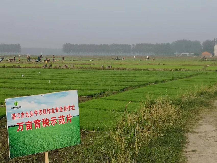 展会回顾 辰宇亮相全国农机展以智能制造助力粮食烘干行业高质量发展