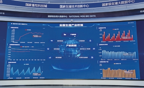 助力三大数字平台　只为养好“一头猪”