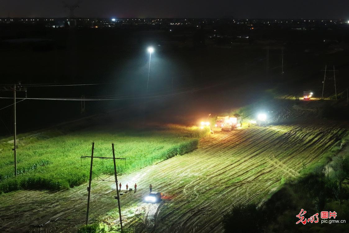 金秋大地铺展丰收新画卷
