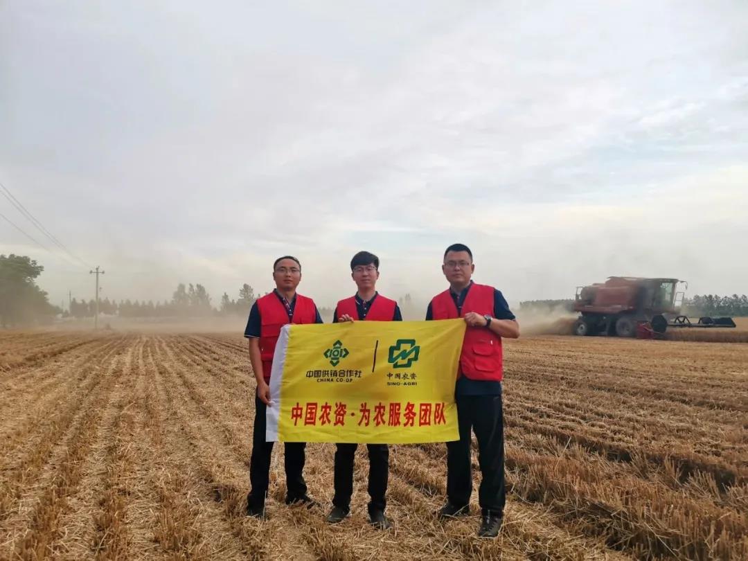 中农集团抢农时保丰收