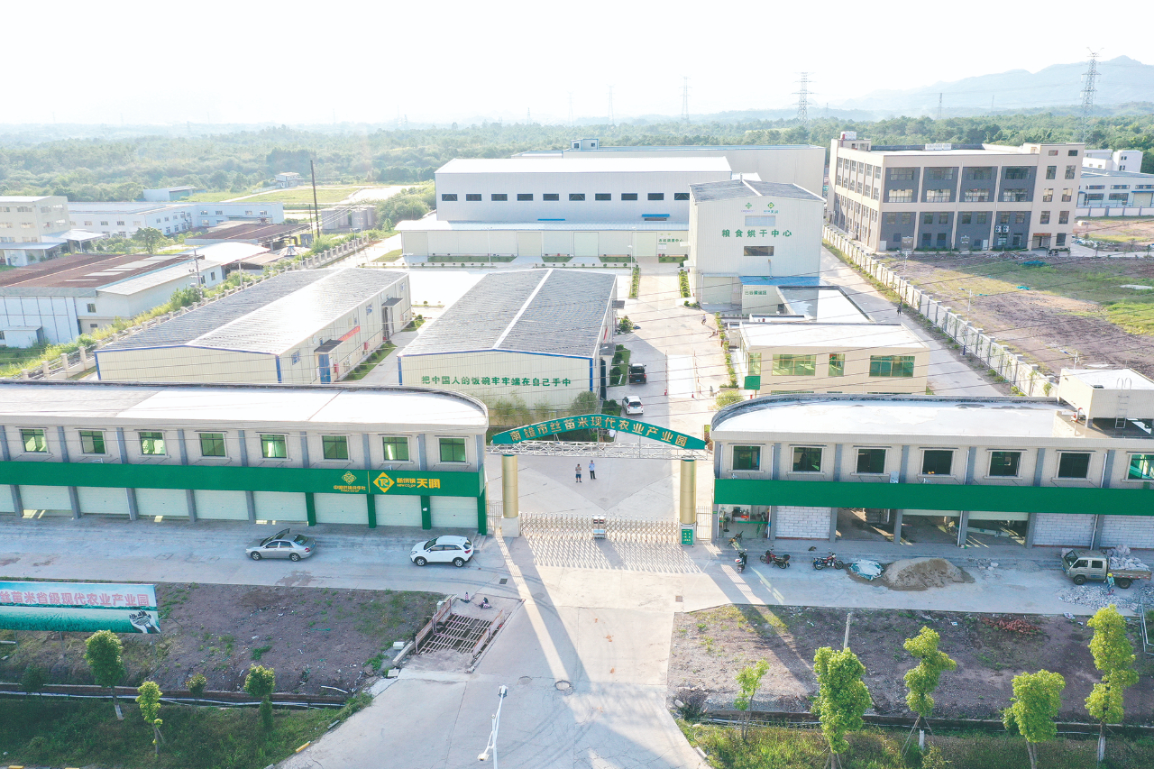 广东新供销天润粮油集团有限公司一园一链推动丝苗米产业蓄势升级