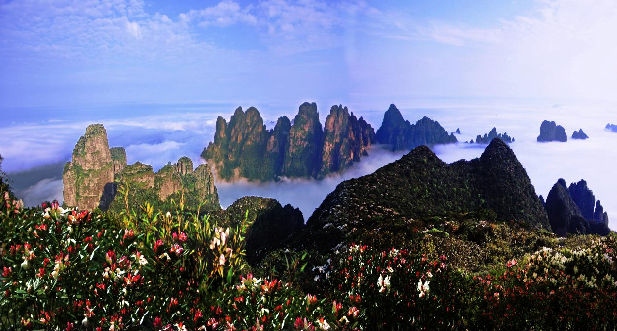 金秀农商银行做优做实金融服务赋能旅游经济发展