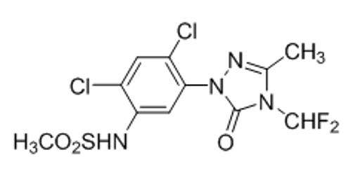 三唑啉酮图片