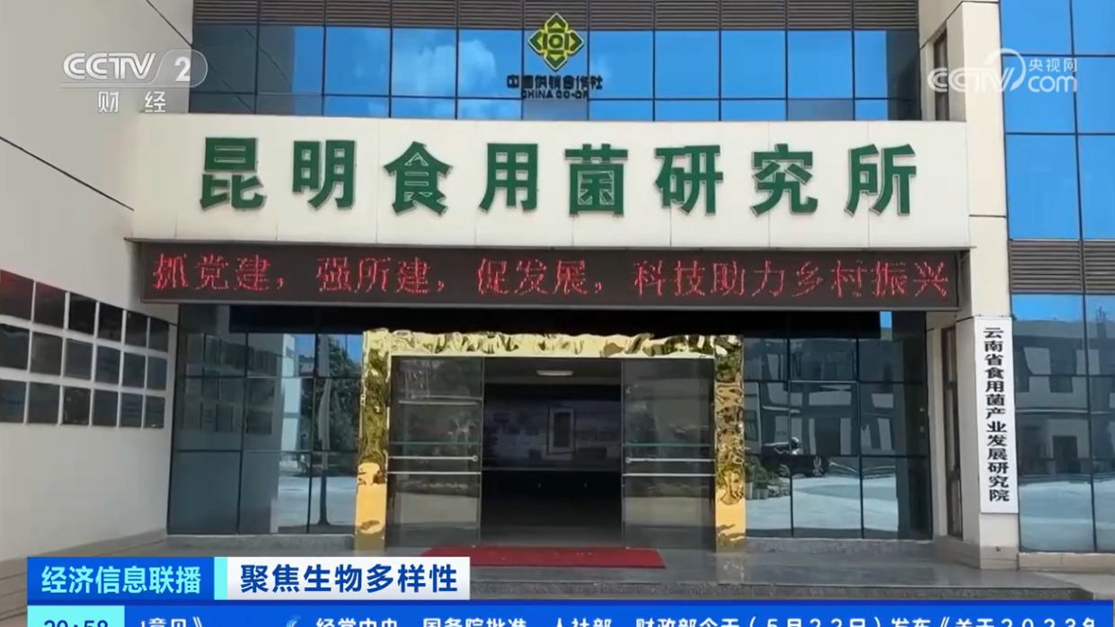 昆明食用菌研究所聚焦生物多样性科技护航野生菌资源