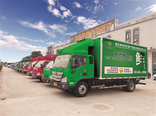 广东省肇庆市社构建农产品现代流通服务体系