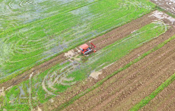 沃野染新綠 春耕繪豐景——從春耕一線看“十五五”開局農(nóng)業(yè)生產(chǎn)新氣象