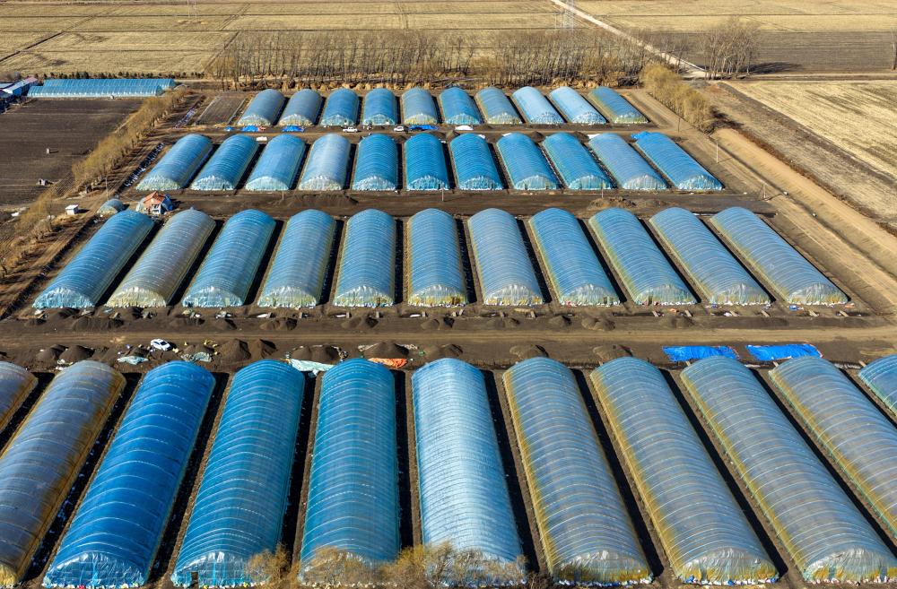 沃野染新綠 春耕繪豐景——從春耕一線看“十五五”開局農(nóng)業(yè)生產(chǎn)新氣象