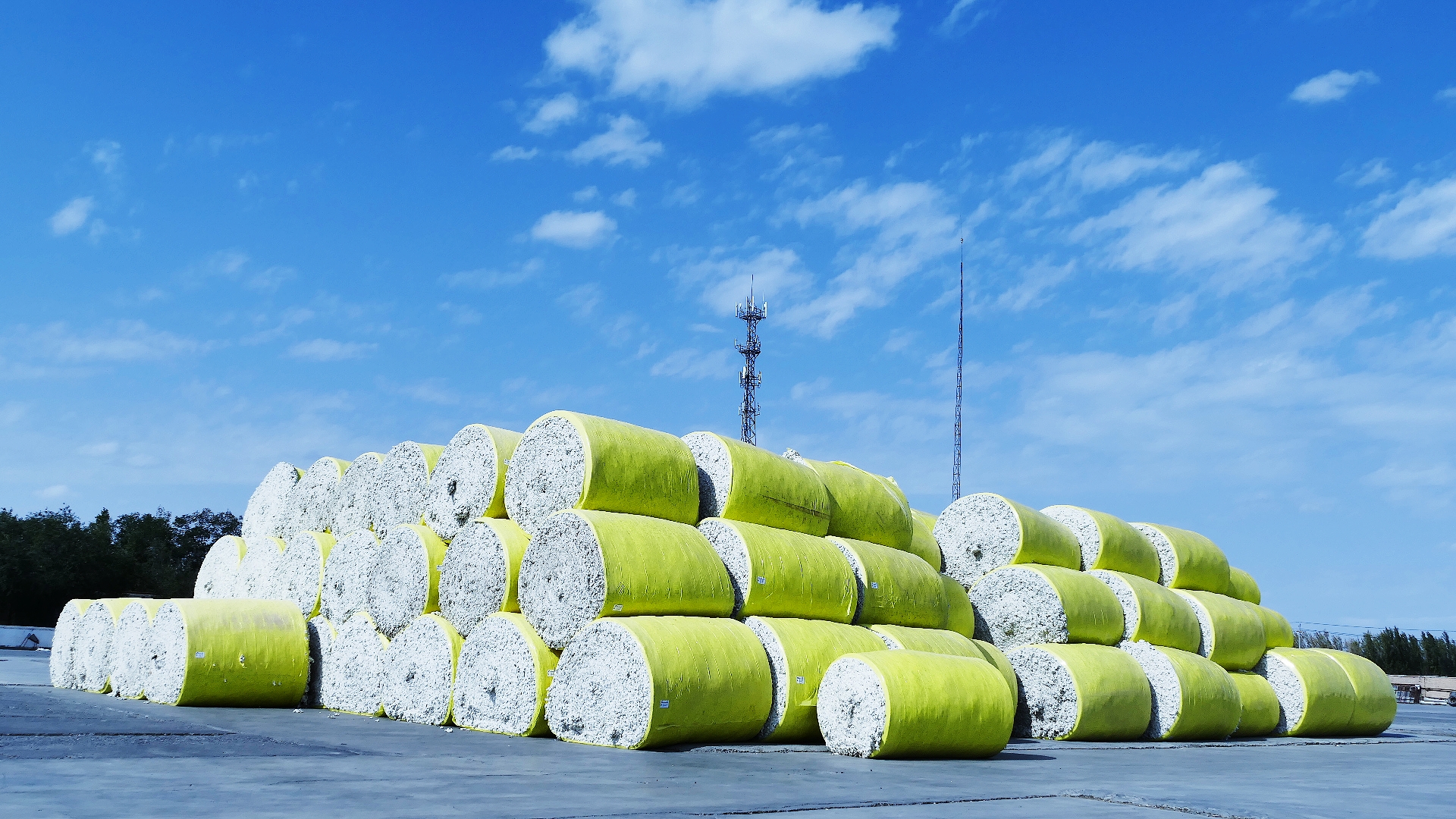 南通公司,河北公司,河南公司,廊坊公司及华丰公司,华锦公司等旗下轧花