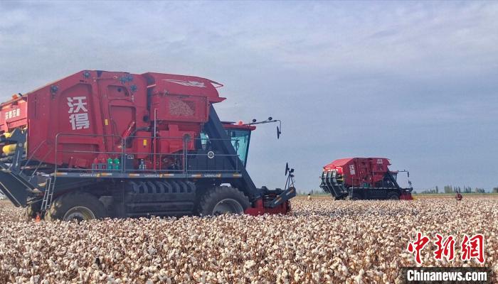 每年9月下旬,新疆兵团种植的千余万亩棉花机械化采收陆续展开,10月底