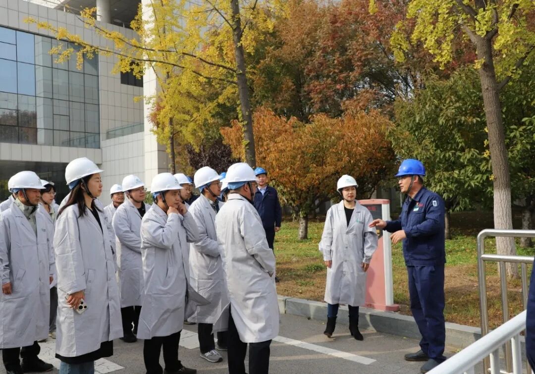 中农联合（003042）连续涨停分析：利空出尽叠加题材炒作的短期异动