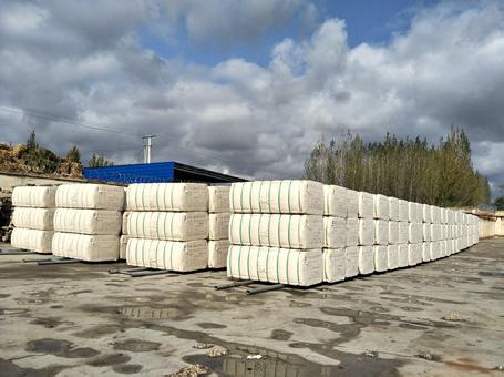 中棉廊坊公司全力以赴开展2018年度棉花收购工作